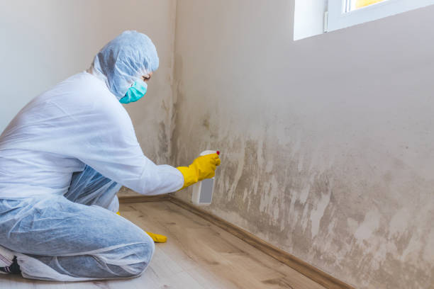 Licensed Commercial Mold Remediation service in Voorhees, NJ - WQB Mold Removal