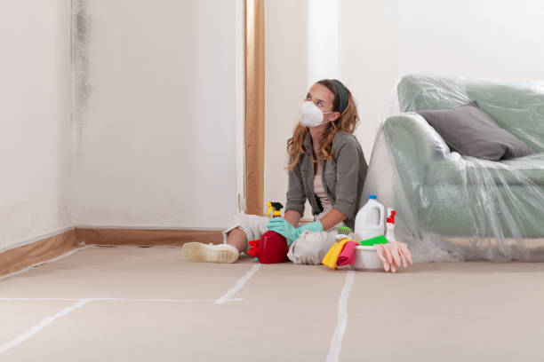 Reliable Commercial Mold Remediation contractor in Voorhees, NJ by WQB Mold Removal